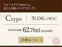 Ctype